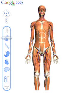 bodybrowser_2.png